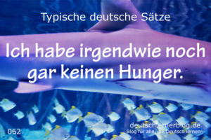deutsche Sätze 062 irgendwie keinen Hunger deutschlernerblog 640